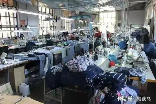 牡丹江一大型工厂二拍遇冷，1044.7万元无人问津的背后